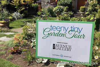 Tickets on sale for Victoria Hospice's Teeny Tiny Garden Tour – Saanich News - Saanich News