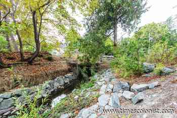 Saanich crews contain spill of paint thinner in Bowker Creek - Times Colonist