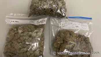 Blood Tribe Police arrest two people after drug seizure - Lethbridge News Now