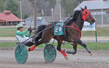 Friday trots at Cumberland - Harnesslink