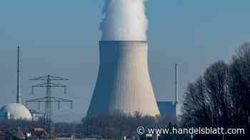 Wirtschaft, Handel & Finanzen: Deutschland stellt sich gegen grünes EU-Label für Atomkraft - Handelsblatt