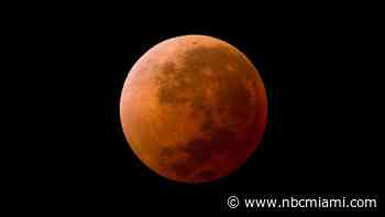 How to Watch the ‘Blood Moon' Eclipse in South Florida on Sunday Night