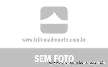 Série A: Fluminense recebe o 'Furacão' no Rio de Janeiro - 13/05/2022 - Notícia - Tribuna do Norte