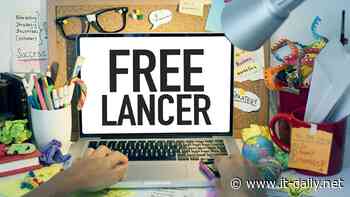 Der Lebensweg von Freiberuflern - Onlineportal von IT Management - it-daily.net