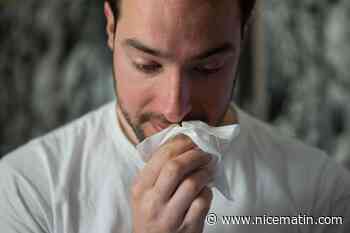 Alerte au allergies dans la région, ils vivent chaque année un calvaire