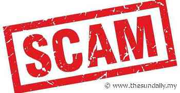 Painter, student fall prey to online job scam - The Sun Daily