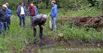 Lebensräume für Amphibien und Vögel schaffen - Breisach - Badische Zeitung