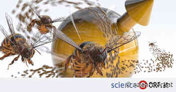 Physik: Quantensysteme ähnlich wie Bienenflug - science.orf.at