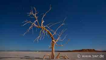 Kaliforniens neuer Goldrausch? Das Lithium-Valley am Salton Sea - SWR Aktuell