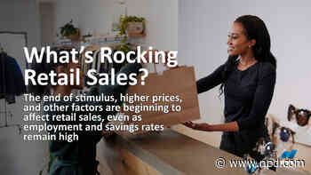 What's Rocking Retail Sales? - The NPD Group - The NPD Group