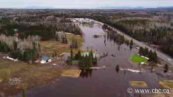 Drone footage captures Thunder Bay flooding as rivers, streams appear to peak - CBC.ca