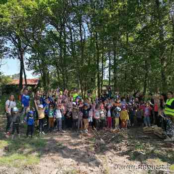 Saugnac-et-Muret : les écoliers savent planter des pins - Sud Ouest