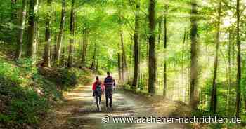Tipps für Wanderungen in der Region​ Aachen, Düren, Heinsberg - Aachener Nachrichten