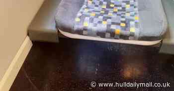 Cleaning team sent onto train as passenger makes grim discovery - Hull Live