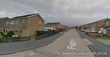 Firefighters called to Hull street to rescue teenager 'stuck in tree' - Hull Live