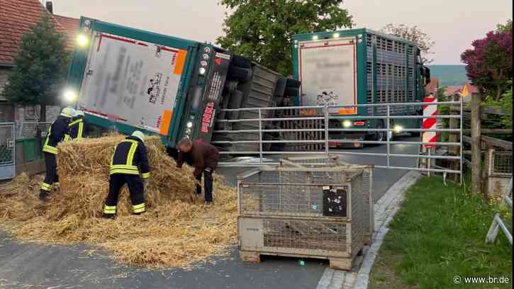 Anzeige gegen Tiertransporter wegen toter Schweine in Iphofen - br.de