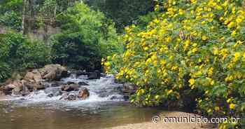 Manhã de sábado explorando um dos lugares mais lindos de Brusque; confira as fotos - O Município