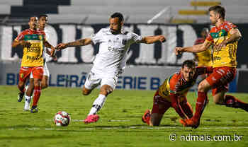 Ponte Preta X Brusque: Veja como chegam as equipes para o duelo da 5ª rodada da Série B - ND Mais