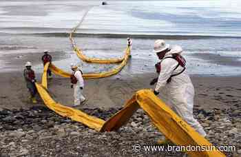 $230M settlement reached over 2015 California oil spill - The Brandon Sun