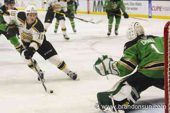 Brandon players grew in tough season - The Brandon Sun