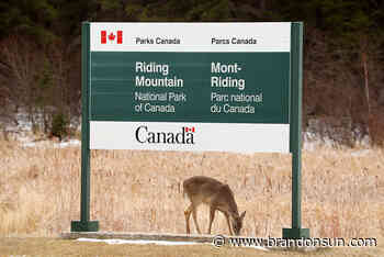 Roads closed at Riding Mountain National Park - The Brandon Sun
