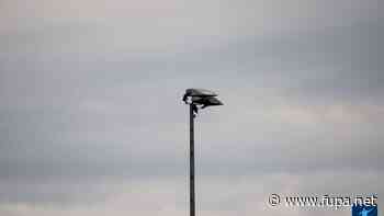 Nach 14 Siegen am Stück lockt Platz 1 - FuPa - FuPa