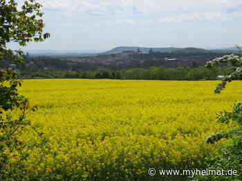 Raps des Krahnberg und Blick auf Gothas "Schloss Friedenstein" - Gotha - myheimat.de - myheimat.de