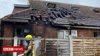 More than 40 animals saved from Colchester house fire