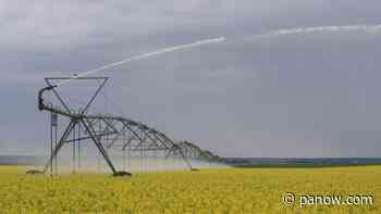 Saskatchewan pumping additional $2.5M into irrigation program - paNOW