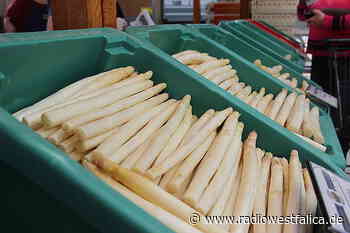 Nachfrage nach Spargel in Minden-Lübbecke steigt - Radio Westfalica