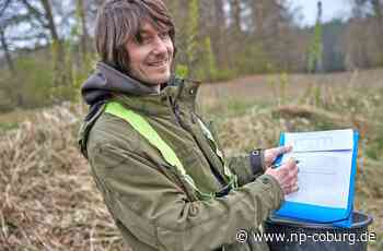 Amphibienschutz im Landkreis Kronach: Alle Kröten im Eimer - Kronach - Neue Presse Coburg