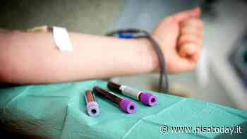 Centro prelievi, successo per le prenotazioni on line - PisaToday