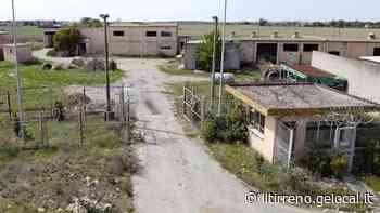 Pisa, niente cittadella militare a Coltano. Ma l'attenzione ora si concentra su Ospedaletto - Il Tirreno