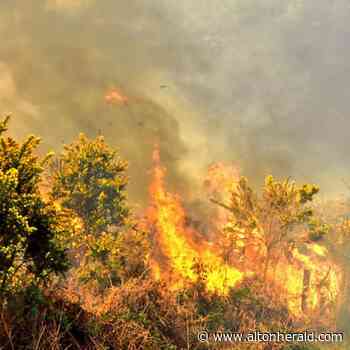 Smoke from Ash Ranges wildfire billows across Farnham and Alton area | altonherald.com - Alton Herald