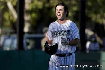 How Palo Alto toppled Wilcox to celebrate SCVAL baseball championship - The Mercury News