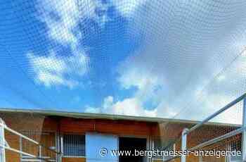 Das Tierheim Heppenheim muss auch beschlagnahmte Tiere unterbringen - Heppenheim - Nachrichten und Informationen - Bergsträßer Anzeiger