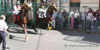 Palio dell'Ascensione a Floridia: il 4 e 5 giugno la corsa dei cavalli - Nuovo Sud