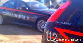 Trieste, rubava con la sua banda negli appartamenti, arrestato - Trieste News