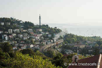 Partito Animalista Trieste: "Ribadiamo a gran voce di essere contrari alla folle realizzazione dell'ovovia" - triestecafe.it