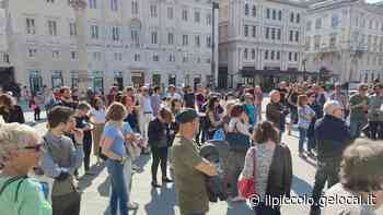 Trieste, presidio in piazza Unità contro la cabinovia e l’abbattimento di alberi nella Pineta di Cattinara - Il Piccolo