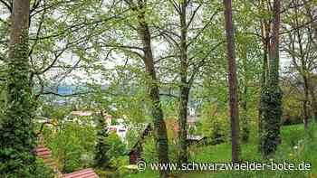 Weitere Bebauung - Nachverdichtungspläne für den Galgenberg in Nagold - Schwarzwälder Bote