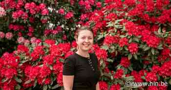 Blueberry Fields biedt voortaan ook workshop 'mind-boost' aan - Het Laatste Nieuws