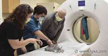 Back to the future: Washakie Medical Center scans 150 million-year-old foot - KPVI News 6