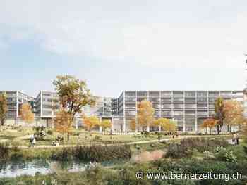 Bau kostet 352 Millionen Franken – Neuer Campus der Berner Fachhochschule frühestens 2028 fertig - Berner Zeitung