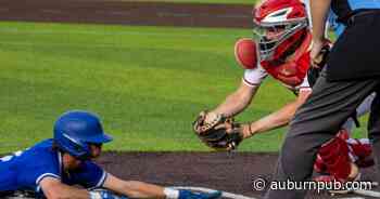 Cayuga baseball splits first two games with Finger Lakes in sub-regional best-of-three - The Citizen
