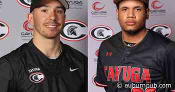 Cayuga baseball's coach Rizzo, first baseman Martinez receive top MSAC honors - The Citizen