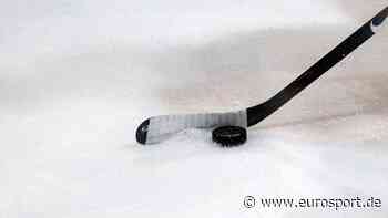 DEL: Augsburg verpflichtet WM-Teilnehmer Soramies - Eurosport DE