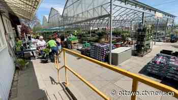 Business blooms at Ottawa garden centres as warm weather arrives - CTV News Ottawa