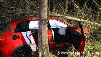 Audi schleudert in Wald bei Katzbach und fällt Baum - vier Verletzte