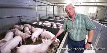 WZ+ Schweinemäster Bernd Zimmer: Warum der Krieg Fleisch in Waltrop teurer macht - Waltroper Zeitung
